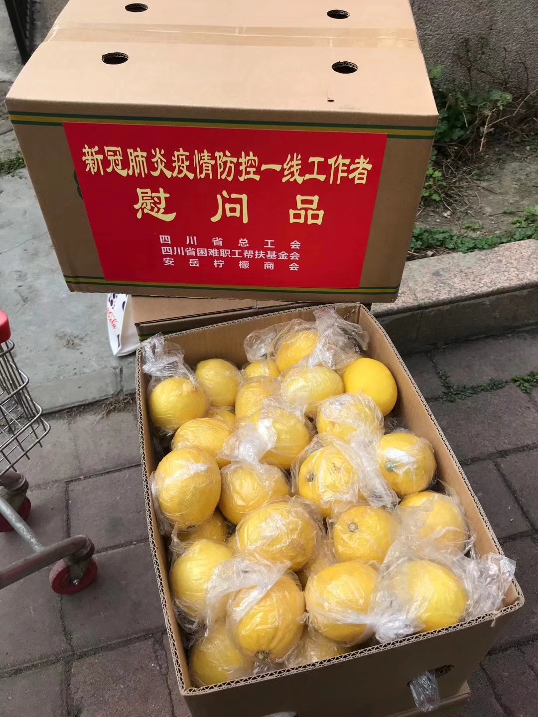 成都水果空運(yùn)蔬菜生鮮空運(yùn)-成都航空快遞網(wǎng)